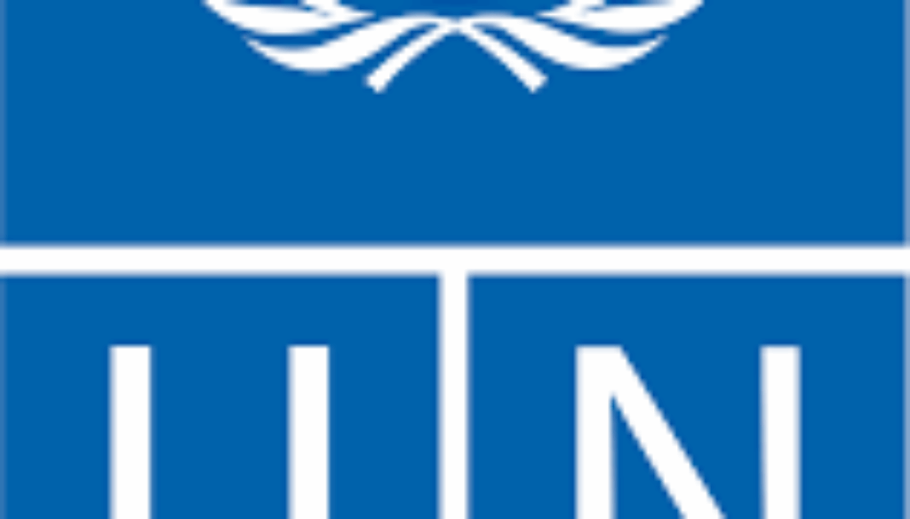 Consultant National, Consultant Associé, Spécialiste en Gouvernance,NE/UNDP/2005/2521