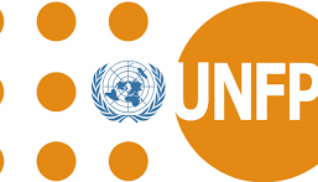 Chauffeur, Niamey, Niger-NE/UNFPA/2005/2538