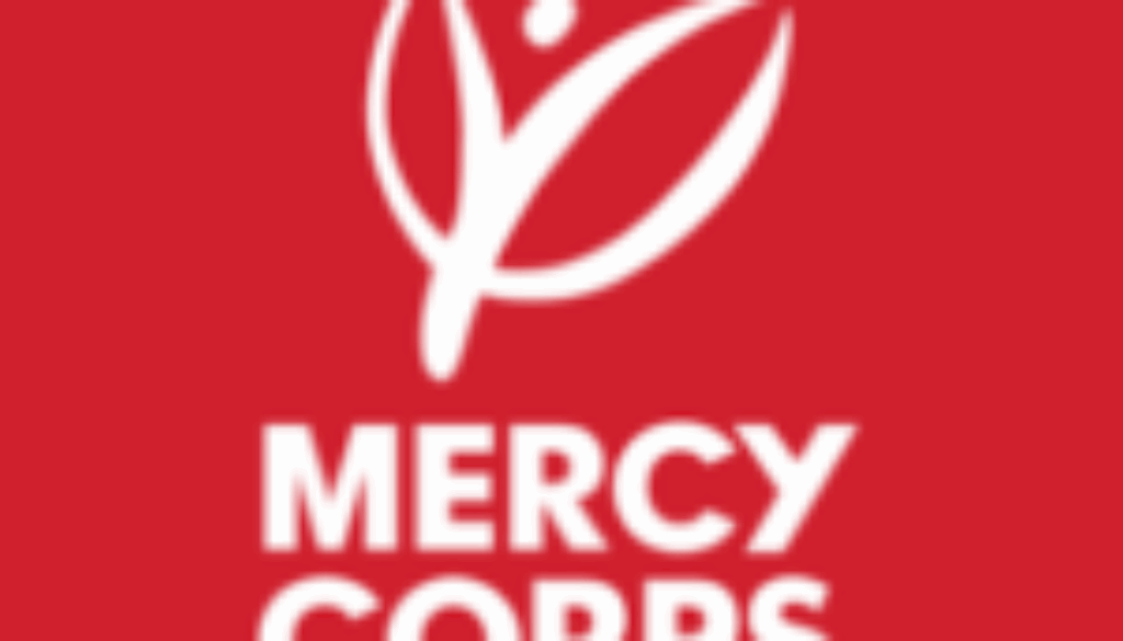 Country Manager – Niger-Job Ref. NE/MC/2205/2548